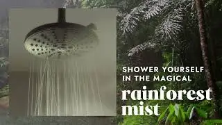 Voesh Vitamin C shower filter - Rainforest Mist Mood