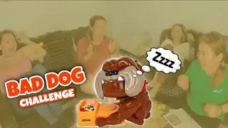 BAD DOG CHALLENGE