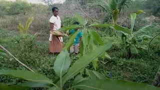 රසවත් වට්ටෝරුවක් - සෑදීමට ඉතා පහසුයි!/A simple meal for vegetarians./Gemi kade