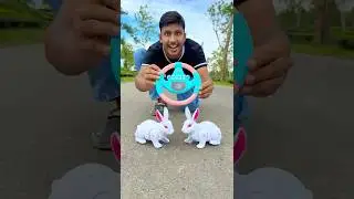 Abr 2 ta white rc rabbit ar shorts