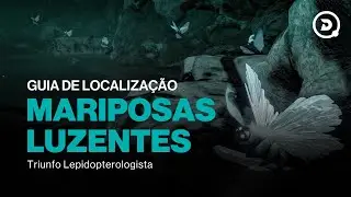 Localiza&ccedil;&atilde;o das 10 Mariposas Luzentes | Triunfo Lepidopterologista | Destiny 2