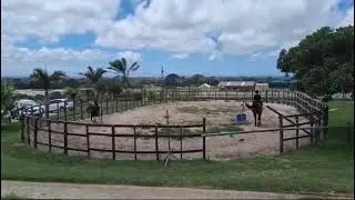 On my first lesson I also trotted my first lesson was on the 1st of February