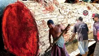 Sawing and Cutting Wood Best Selling and Most Beautiful || #Sawmill