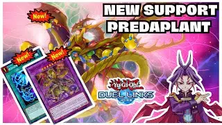 NEW SUPPORT & NEW TIER 