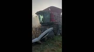MASSEY FERGUSON 9895 For Sale