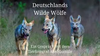 Deutschlands Wilde W&ouml;lfe  - Vlog #04 - Gespr&auml;ch mit Axel Gomille