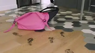 Publicit&eacute; 2018 - Gifi - Seau So Smart
