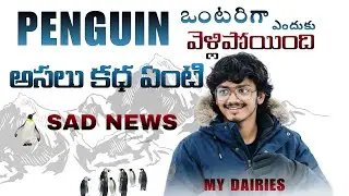 FULL STORY OF PENGUIN 🐧 | Amazing Penguin Facts in Telugu | MY DIARIES