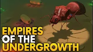 EMPIRES OF THE UNDERGROWTH &mdash; НОВОЕ ОБНОВЛЕНИЕ И РЕЛИЗ!! В STEAM!