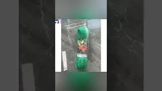 extrude pp anti bird netting bird protection net
