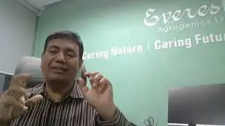 Eva DCP Gold--- Improve milk production and bone development of cattle