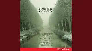 Sonata for Viola and Piano in F Minor, Op. 120 No. 1: III. Allegretto grazioso