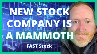 Stocks To Watch: Fastenal | FAST Stock Insight