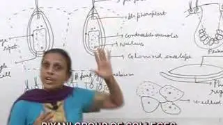 Volvox lecture, BSc, MSc by Dr. Anupama Goyal