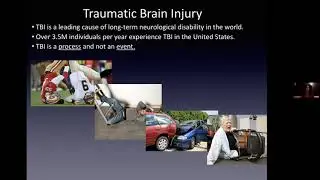 Treatment Strategies to Reverse Cognitive Decline after Brain Injury and Aging