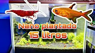 Nano acuario plantado sin co2 | Acuarios FA
