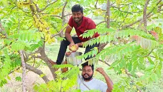 SIMPLE GOOSBERRY RECIPE | தாளிச்ச நெல்லிக்காய் @manickambrothers2210 #amla #gooseberryrecipe