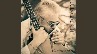 Vuestros Pies 73