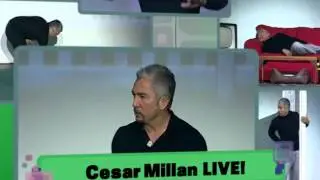 Cesar Millan Live!