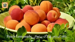Homemade Peach Lemonade &ndash; Refreshing Summer Drink