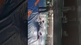ruka pashni boy hokim kubogi