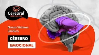 Cérebro Emocional Psicologia - Sistema Límbico e Emoções / Sistema Límbico e Comportamento