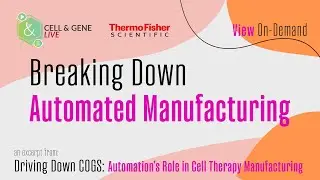 Breaking Down Automated Manufacturing