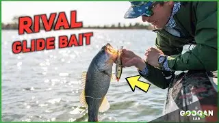 Breaking Down the GOOGAN RIVAL GLIDE BAIT ( Fishing Tips )