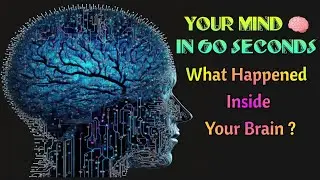 Interesting facts about brain | how your brain work in 60 seconds ?