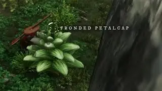 Where To Find Pedalcap In New World - Weakness of the Ego Guide (Closed Beta)