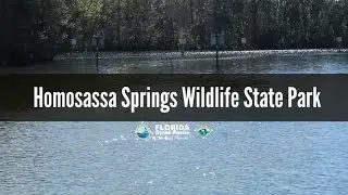 Firsthand Florida Fun: Ellie Schiller Homosassa Springs Wildlife State Park