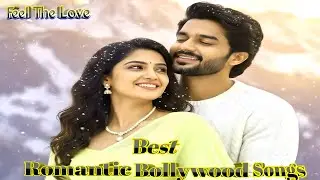 Best Romantic Bollywood Songs | Heart-Touching-Melting Love | Bollywood Romantic Songs Collection