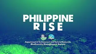 PHILIPPINE RISE INTERSTITIALS 2