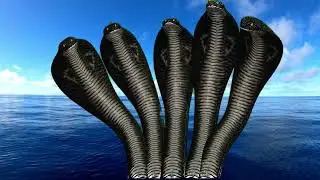 Five Headed Snake on Green Screen | Sheshnaag Video Effects |