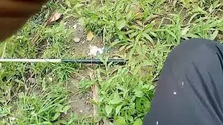 berdoa dulu sebelum mancing  #doapagi #mancing #ikan