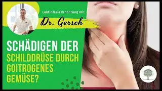 Kann man die Schilddr&uuml;se durch zu viel goitrogenes Gem&uuml;se oder Hirse irreversibel sch&auml;digen?
