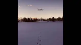 the apology club - sorry