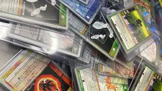 Metazoo Mailday!  Nightfall and Wilderness Playtesters!