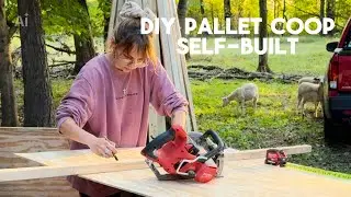 Building A Chicken Coop From Scratch Using Pallets (and other things) DIY&hellip;