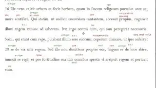 Mirabilia Urbis Romae, XV 16-22