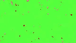 Pink Petals HD Green Screen