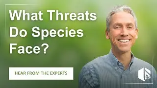 What Threats Do Species Face? Hear from the experts!