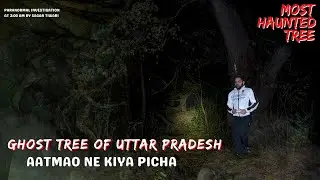 Aatma ne kiya Picha : पेड़ पर दिखते हैं लटकते हुए भूत  😱  Part-2 |  #bhoot