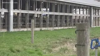 Farmers facing financial hard times due to COVID-19