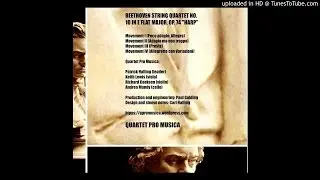 Beethoven Op. 74 Movement II - Quartet Pro Musica