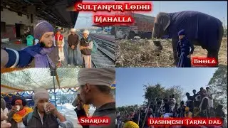 Sultanpur Lodhi Mahalla | Dashmesh Tarna Dal | Shardai 