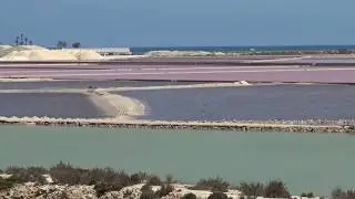 San Pedro del  Pinatar.Lo Pagan.Лечебные  грязи.