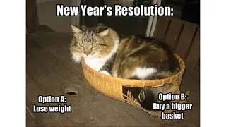 New year resolutions | Funny Memes