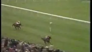 Sea Pigeon - Dual Champion Hurdler
