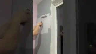 Painting home office walls on repeat #diy #diypainting #home #shorts #timelapse